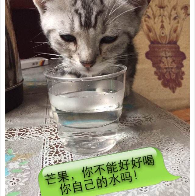 老家属楼能办不动产证吗